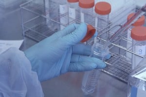 Lab technician takes sample from test tube for test, soft focus ** Note: Soft Focus at 100%, best at smaller sizes